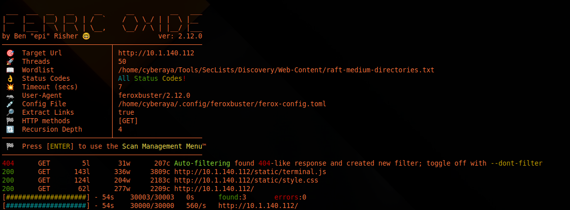 feroxbuster enumeration showing static terminal.js